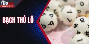 Bạch Thủ Lô