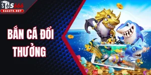 Bắn Cá Đổi Thưởng