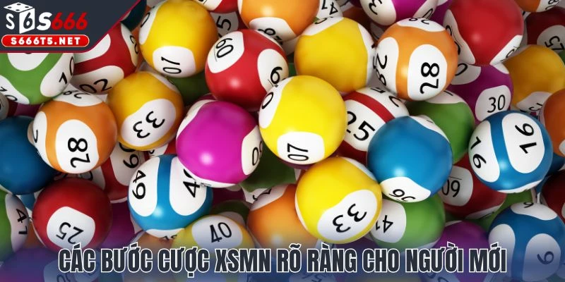 Các bước cược XSMN rõ ràng cho người mới