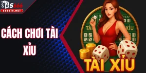 Cách Chơi Tài Xỉu