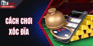 Cách Chơi Xóc Đĩa