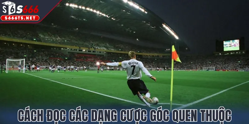 Cách đọc các dạng cược góc quen thuộc