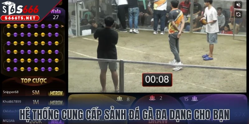 Hệ thống cung cấp sảnh đá gà đa dạng cho bạn