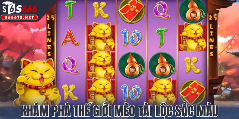 Khám phá thế giới Mèo Tài Lộc sắc màu