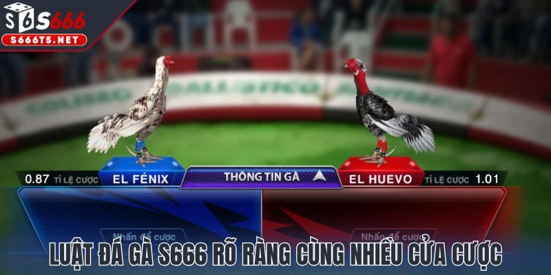 Luật đá gà S666 rõ ràng cùng nhiều cửa cược