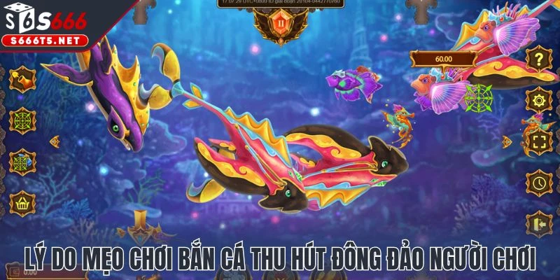 Lý do mẹo chơi bắn cá thu hút đông đảo người chơi