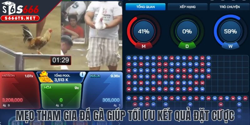 Mẹo tham gia đá gà giúp tối ưu kết quả đặt cược