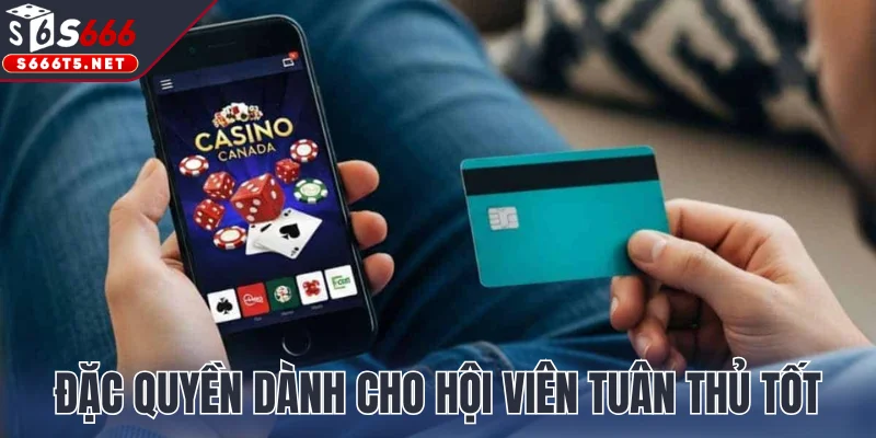  Những đặc quyền lợi ích dành cho hội viên tuân thủ tốt