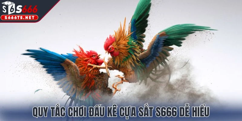 Quy tắc chơi đấu kê cựa sắt S666 dễ hiểu