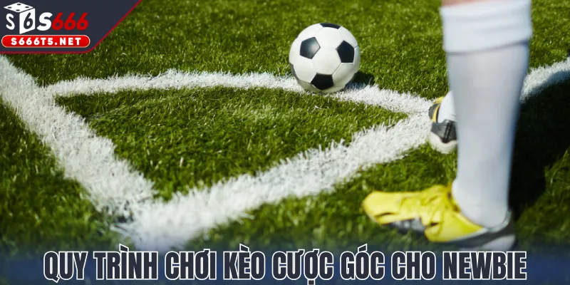 Quy trình chơi kèo cược góc cho newbie