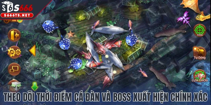 Theo dõi thời điểm cá đàn và boss xuất hiện chính xác